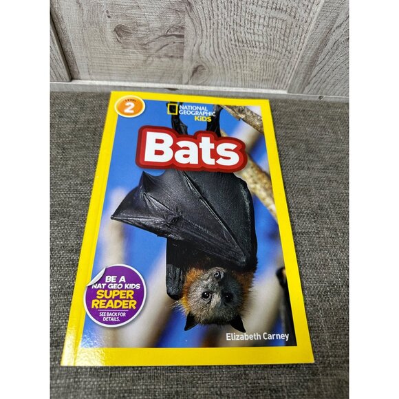 Set Of 4 Childrens Books: I Survived The One And Only Ivan Bats Monster Bugs - Picture 6 of 11